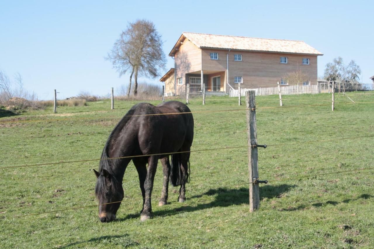 Le Petit Durbec Villa La Force  Esterno foto